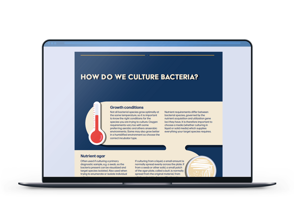 Bacterial Culture